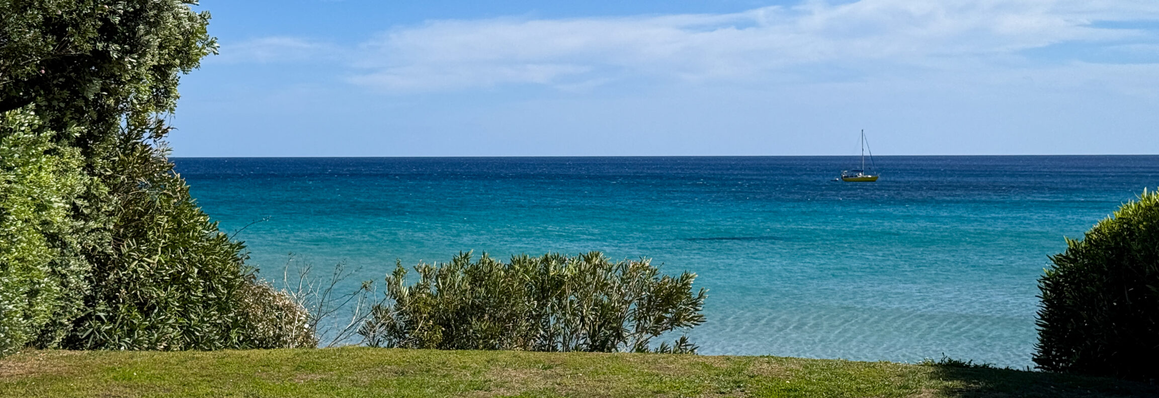 IMG_5363