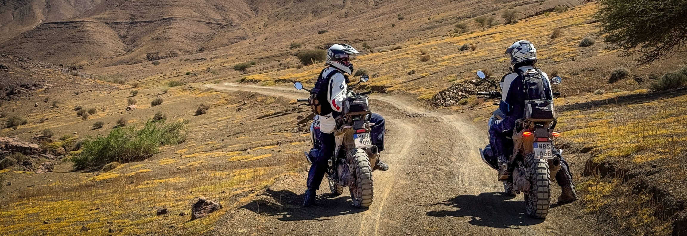 IMG_7755